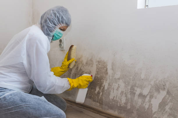 Best Mold Remediation for Specific Building Types in Cetronia, PA